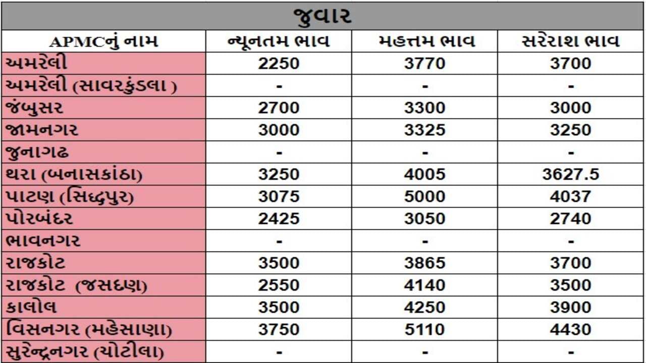 જુવારના તા.01-08-2024ના રોજ APMCના ભાવ રૂ.2250 થી 5110 રહ્યા.