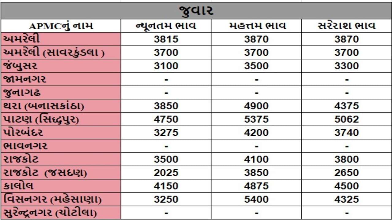 જુવારના તા.21-08-2024ના રોજ APMCના ભાવ રૂ.2025 થી 5400 રહ્યા.