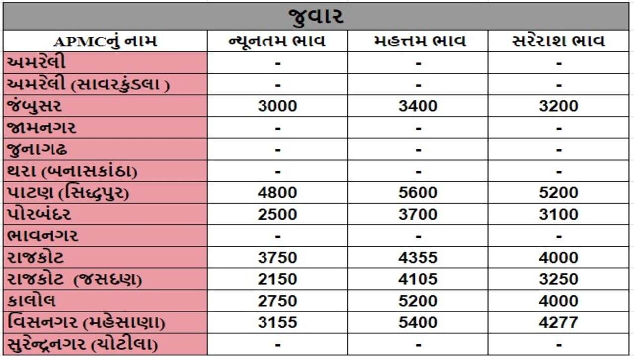 જુવારના તા.22-08-2024ના રોજ APMCના ભાવ રૂ.2150 થી 5600 રહ્યા.