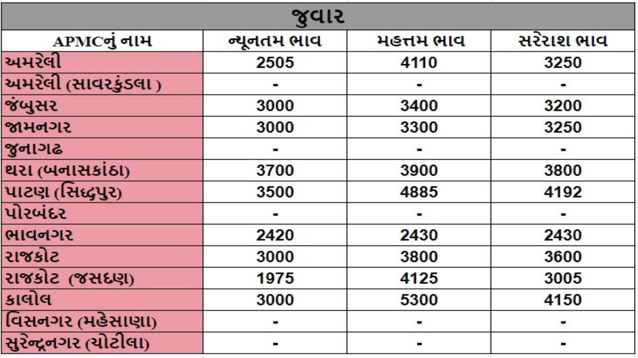 જુવારના તા.06-08-2024ના રોજ APMCના ભાવ રૂ.1975 થી 5300 રહ્યા.