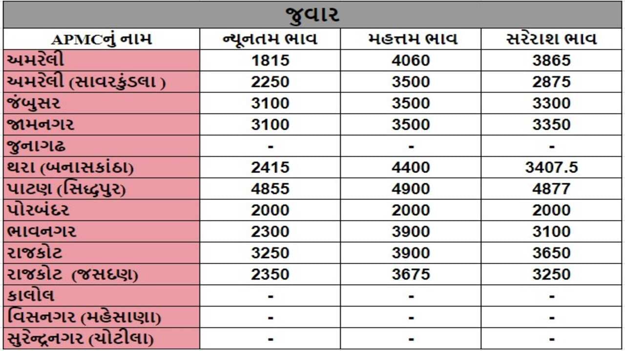 જુવારના તા.31-07-2024ના રોજ APMCના ભાવ રૂ.1815 થી 4900 રહ્યા.