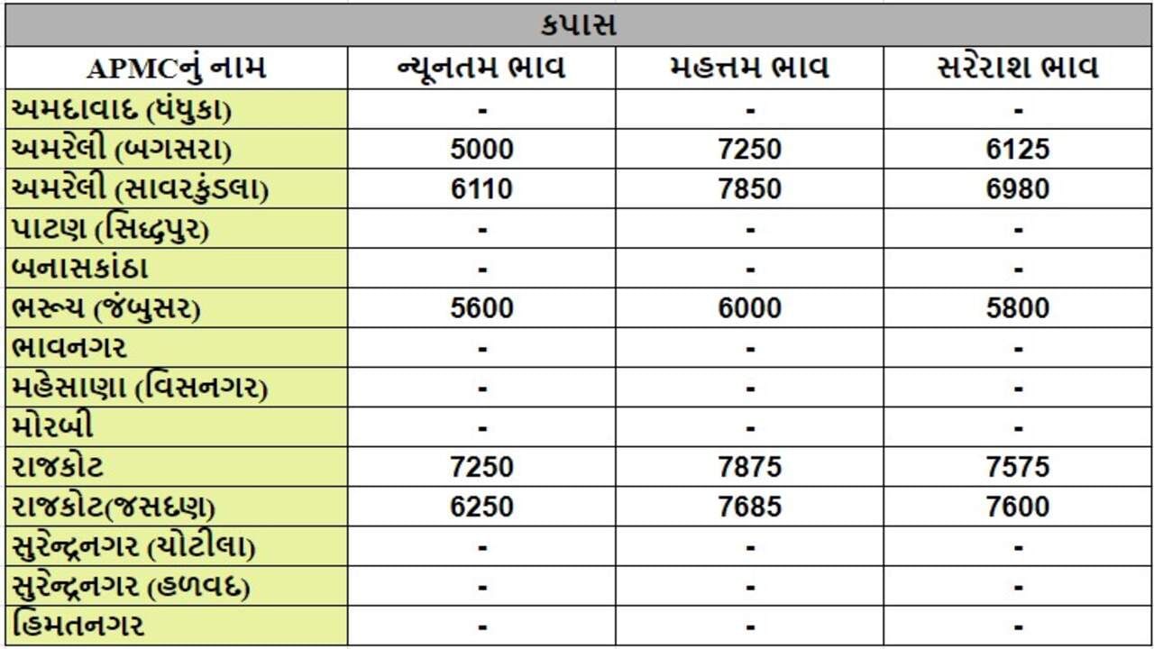 કપાસના તા.16-08-2024ના રોજ APMCના ભાવ રૂ.5000 થી 7875 રહ્યા.