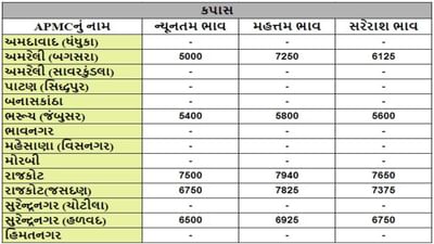 કપાસના તા.22-08-2024ના રોજ APMCના ભાવ રૂ.5000 થી 7940 રહ્યા.
