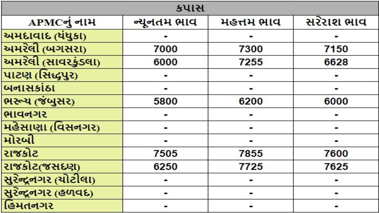 કપાસના તા.07-08-2024ના રોજ APMCના ભાવ રૂ.5800 થી 7855 રહ્યા.