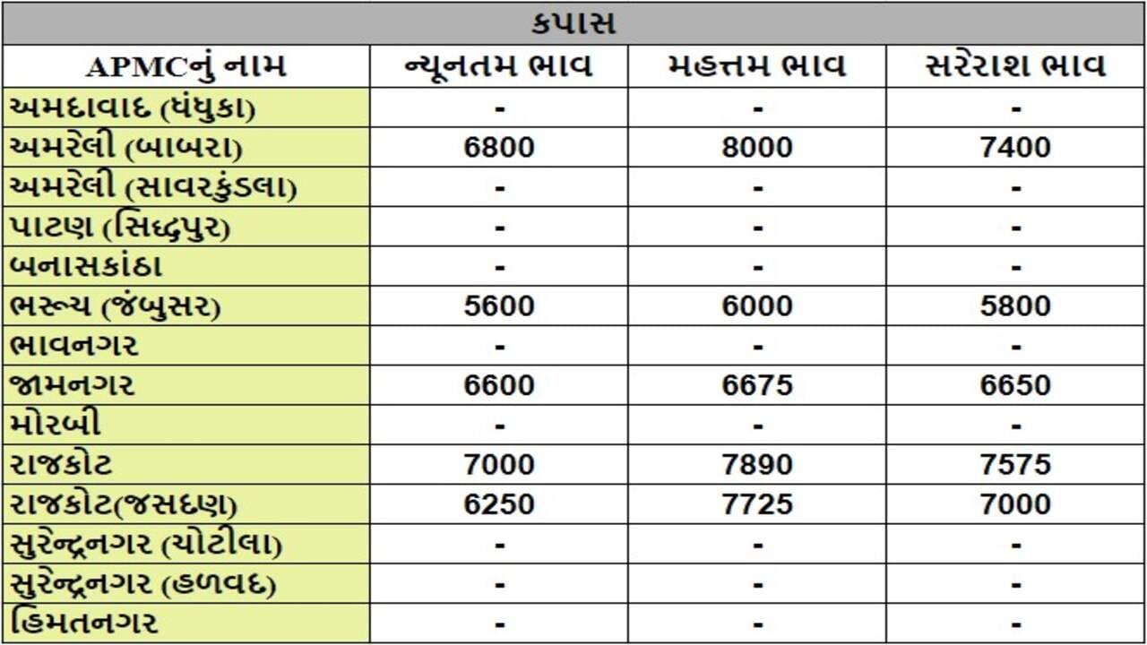 કપાસના તા.14-08-2024ના રોજ APMCના ભાવ રૂ.5600 થી 8000 રહ્યા.