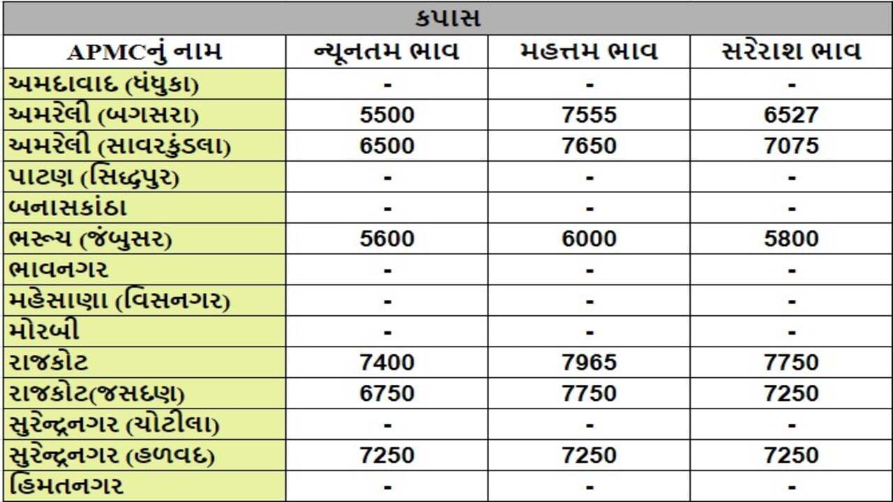 કપાસના તા.31-07-2024ના રોજ APMCના ભાવ રૂ.5500 થી 7965 રહ્યા.