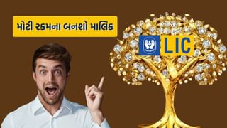 સોનાનું ઝાડ છે આ LIC પોલિસી, ટેક્સ સેવિંગ સાથે મળે છે ડબલ બેનિફિટ, જાણો વિગત