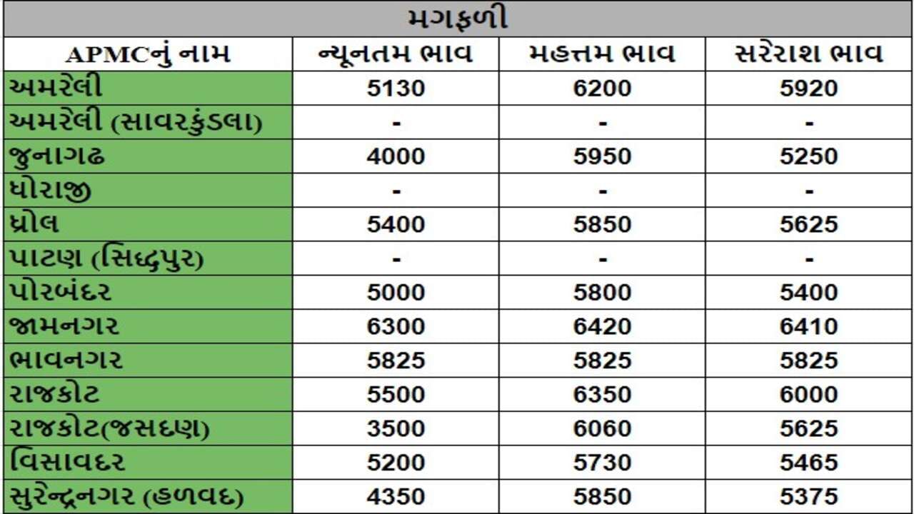 મગફળીના તા.01-08-2024ના રોજ APMCના ભાવ રૂ.3500 થી 6420 રહ્યા.