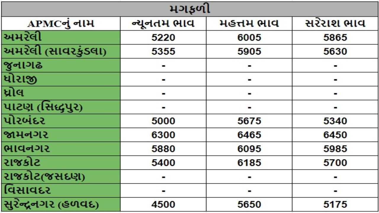 મગફળીના તા.05-08-2024ના રોજ APMCના ભાવ રૂ.4500 થી 6465 રહ્યા.