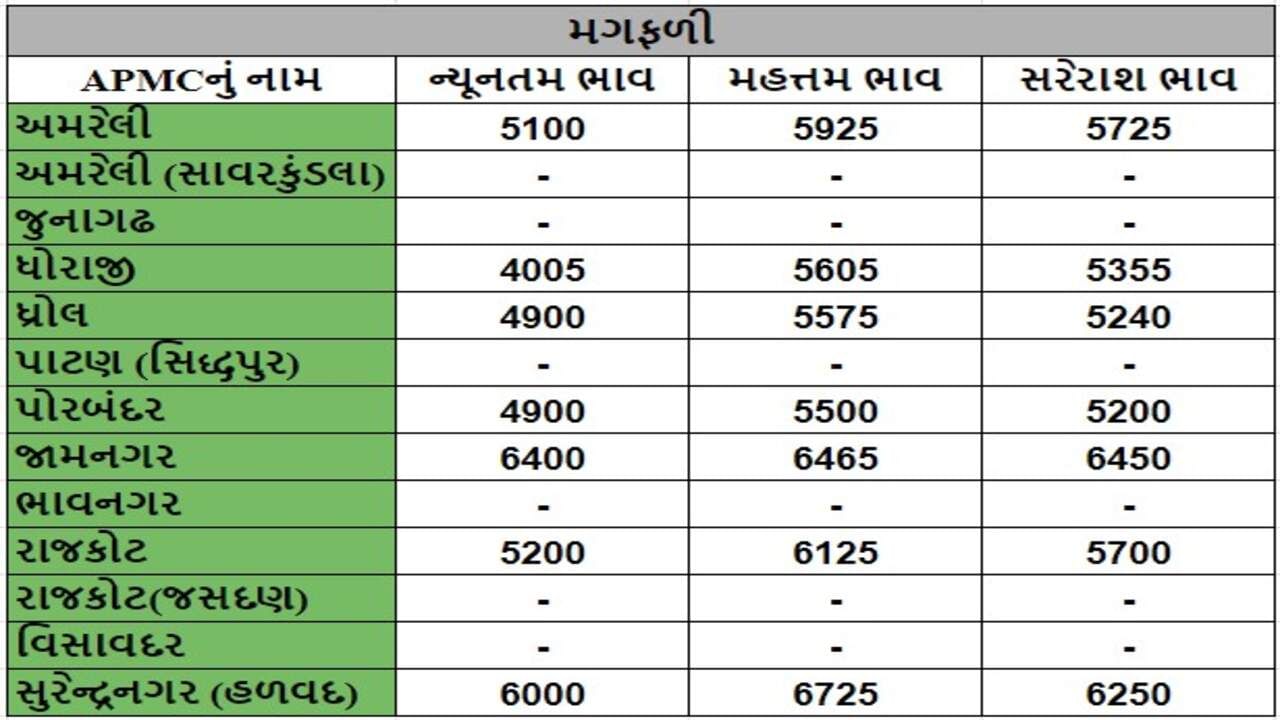 મગફળીના તા.08-08-2024ના રોજ APMCના ભાવ રૂ.4005 થી 6725 રહ્યા.