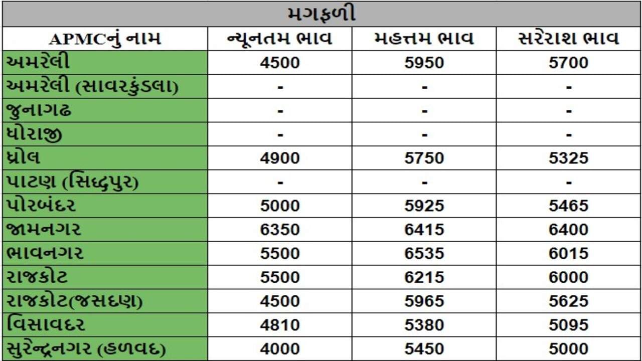 મગફળીના તા.14-08-2024ના રોજ APMCના ભાવ રૂ.4000 થી 6535 રહ્યા.