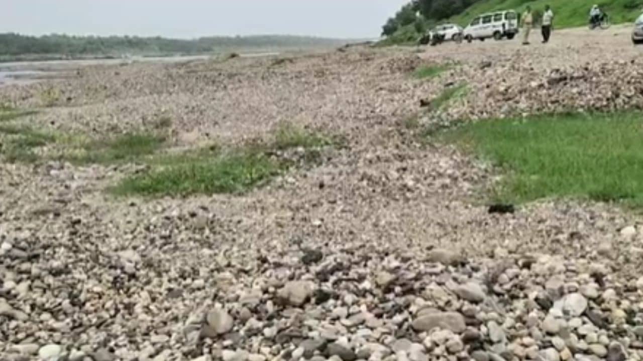 Vadodara News : મહીસાગર નદીમાં ખનીજ વિભાગના દરોડા, ખનન માફીયાઓ પાસેથી 2 કરોડનો મુદ્દામાલ જપ્ત કરાયો, જુઓ Video