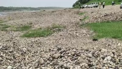 Vadodara News : મહીસાગર નદીમાં ખનીજ વિભાગના દરોડા, ખનન માફીયાઓ પાસેથી 2 કરોડનો મુદ્દામાલ જપ્ત કરાયો, જુઓ Video