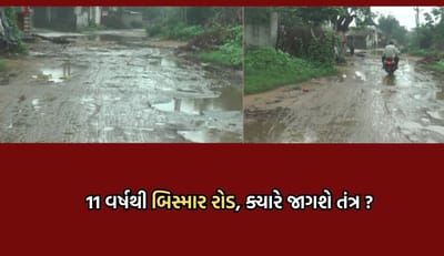 પાલનપુરથી પાટણને જોડતો માર્ગ છેલ્લા 11 વર્ષથી બિસમાર હાલતમાં, ખાડા વચ્ચે બચ્યો છે નજીવો રોડ- જૂઓ Video