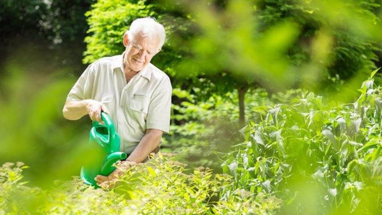 કાર ધોવા: તમે તમારી કાર ધોવા માટે RO વેસ્ટ વોટરનો પણ ઉપયોગ કરી શકો છો. 
કૂલરમાં પાણીઃ ઉનાળામાં ઠંડી રહેવા માટે લોકો કુલરનો ઉપયોગ કરે છે. RO માંથી નીકળતું પાણી કૂલરની પાણીની ટાંકીમાં ઠાલવી શકાય છે. 
તમે તમારા નજીકના બજાર અથવા એમેઝોન-ફ્લિપકાર્ટ જેવા ઑનલાઇન સ્ટોરમાંથી RO વેસ્ટ વોટર પોર્ટેબલ કલેક્ટર ખરીદી શકો છો. RO વેસ્ટ વોટર પોર્ટેબલ કલેક્ટરની કિંમત વિવિધ બ્રાન્ડ્સ અને મોડલ્સ અનુસાર બદલાય છે.
