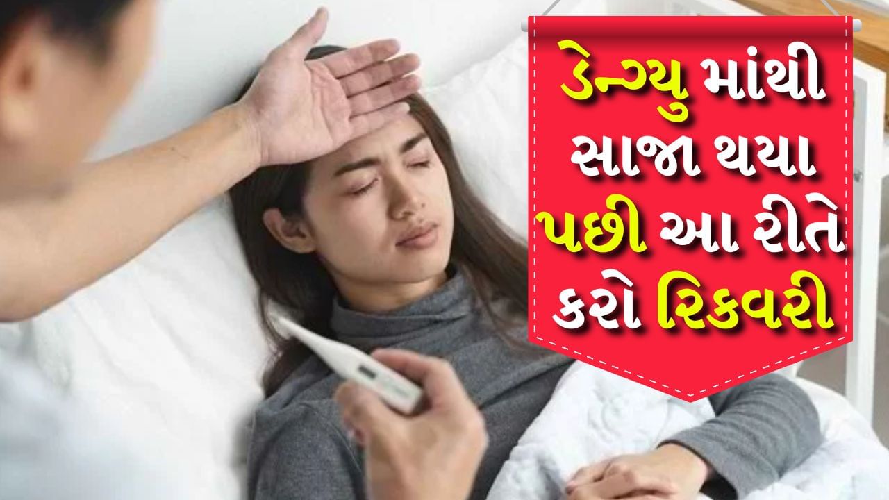 Recover from Dengue : વરસાદની મોસમમાં ઘણી જગ્યાએ પાણી જમા થવાને કારણે ડેન્ગ્યુનો ખતરો અનેક વાયરલ ફ્લૂની સાથે વધી જાય છે. ચોમાસા દરમિયાન ડેન્ગ્યુ તાવના ઘણા કેસો જોવા મળે છે. આને રોકવા માટે મચ્છરોને ભગાડવાની સાથે પાણી એકઠું થવા ન દેવું જોઈએ. જો ડેન્ગ્યુ થાય તો તાવ મટી ગયા પછી પણ દર્દીની બોડીમાં ખૂબ જ નબળાઈ દેખાય છે અને તેને સાજા થવામાં ઘણો સમય લાગે છે. ડેન્ગ્યુ તાવ દરમિયાન કેટલીક બાબતોનું ધ્યાન રાખવું જોઈએ. આ ઝડપથી રિકવરી અને એનર્જી વધારવામાં મદદ કરે છે.
