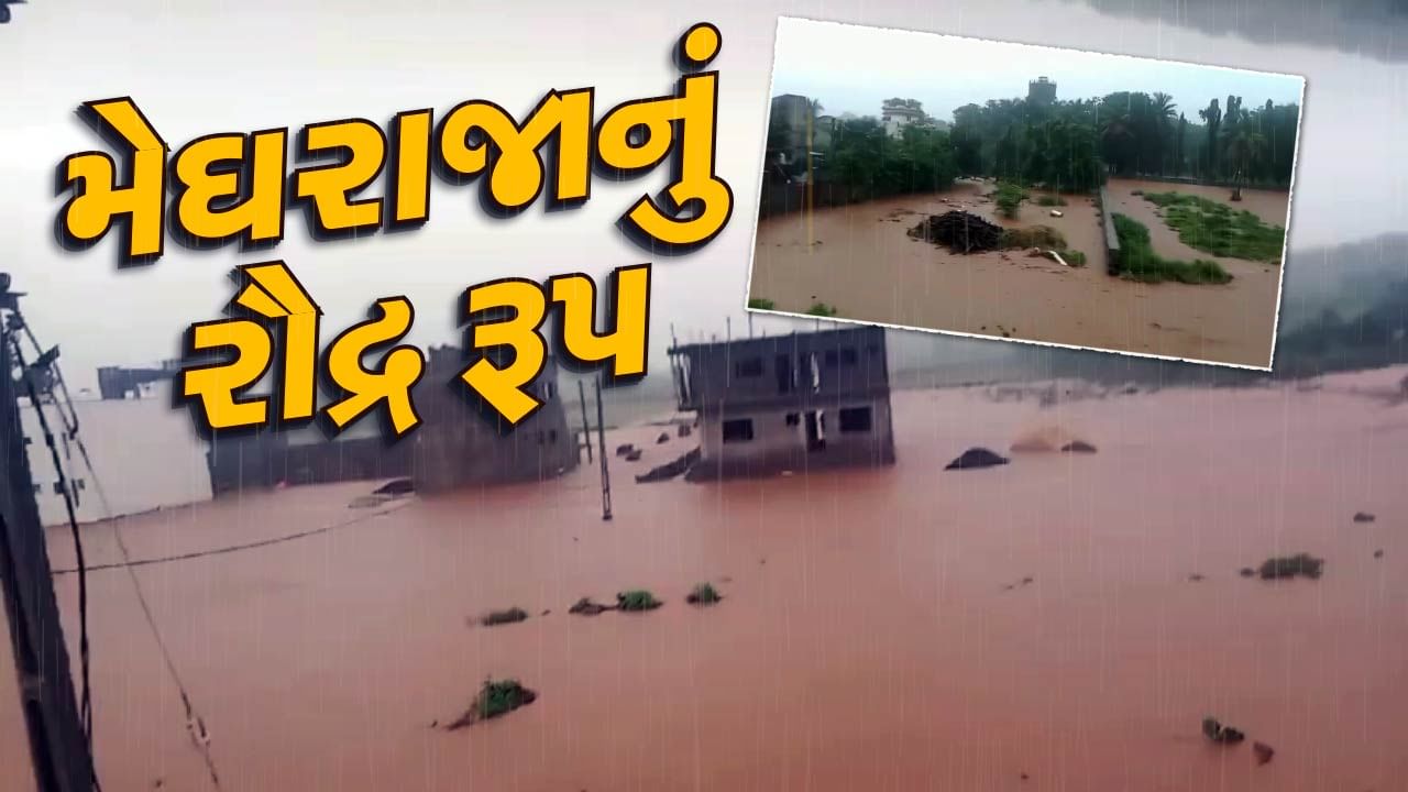 Rain News :  2 કલાકમાં 63 તાલુકામાં વરસાદ, કચ્છના મુદ્રામાં ભારે પવન સાથે 3 ઈંચ ખાબક્યો વરસાદ, જુઓ Video