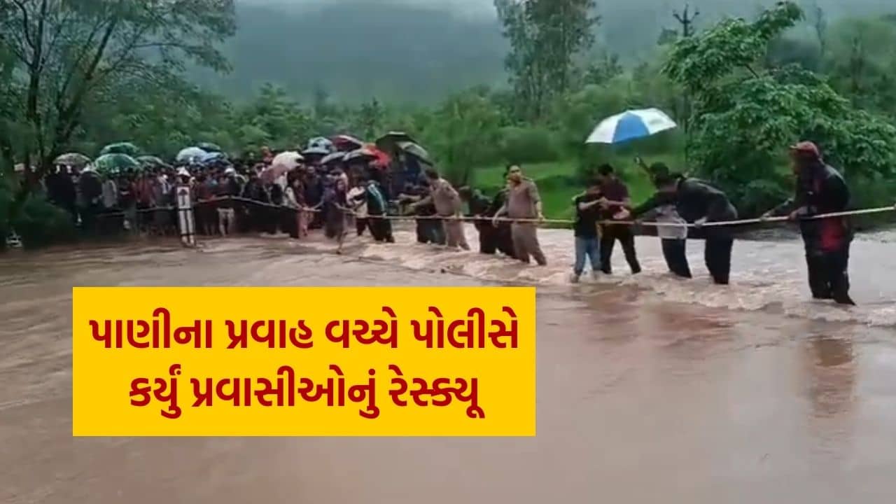 Navsari Police : ભારે વરસાદ અને ધસમસતા પાણીના પ્રવાહ વચ્ચે વાંસદા પોલીસ દ્વારા પ્રવાસીઓનું કરાયું દિલધડક રેસ્ક્યુ, જુઓ Video