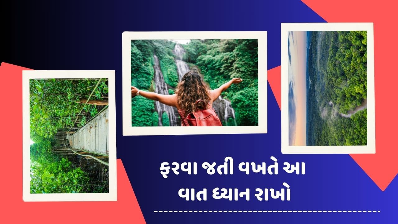 કેટલાક લોકોને ટ્રાવેલ કરવું ખુબ પસંદ હોય છે.ક્યારેક રાજસ્થાનના રણમાં તો ક્યારેક જંગલની હરિયાળીની મજા લેવા માટે બેગ પેક કરી નીકળી જાય છે. તમને જણાવી દઈએ કે, જંગલમાં ટ્રેકિંગ વખતે વિશેષ તૈયારીની ખુબ જરુર હોય છે.