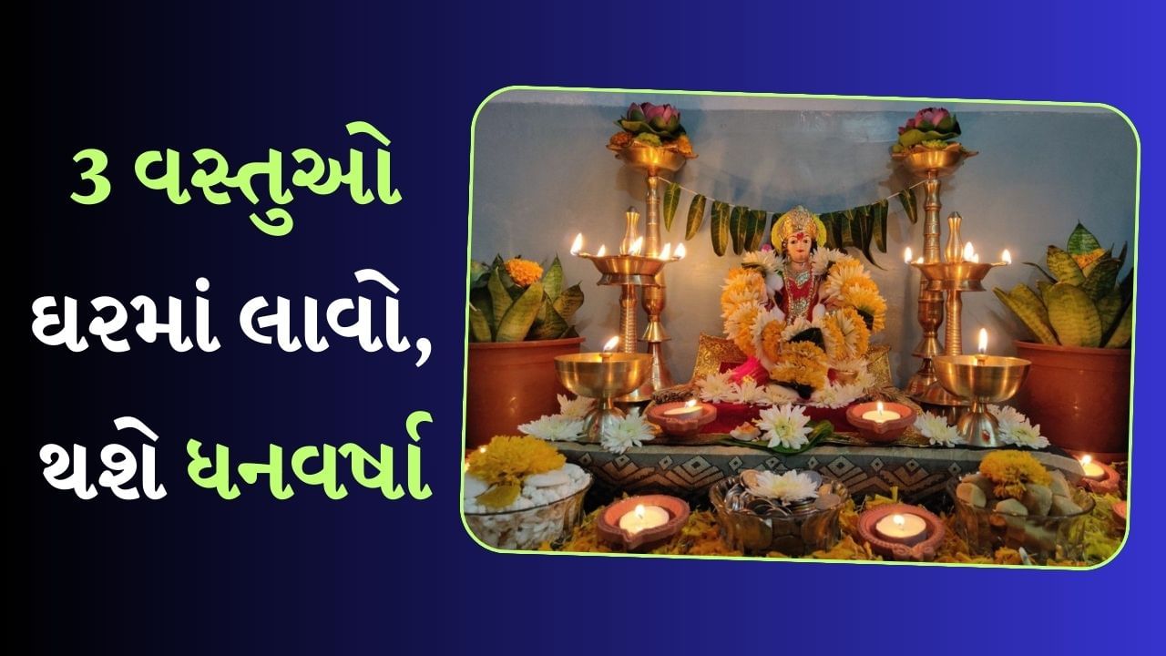 Vastu Tips  : આજે મોંઘવારીના આ યુગમાં પૈસા દરેકને જરૂરી છે. આજે રુપિયા વગર જીવવું શક્ય નથી. પરંતુ ઘણા લોકો સાથે એવું બને છે કે તેમને લાંબા સમય સુધી આર્થિક ફાયદો થતો નથી. જેના કારણે અંગત જીવનમાં ઘણી મુશ્કેલીનો સામનો કરવો પડે છે. 
