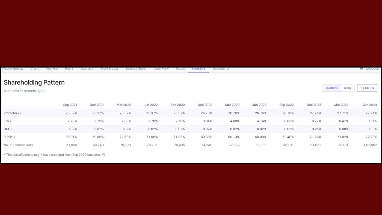 વેબસોલ એનર્જી સિસ્ટમ લિમિટેડના શેરહોલ્ડિંગ પેટર્ન મુજબ પ્રમોટર્સ કંપનીમાં 27.71 ટકા હિસ્સો ધરાવે છે, જ્યારે સામાન્ય રોકાણકારો 72.28 ટકા હિસ્સો ધરાવે છે. કંપનીમાં FIIનો હિસ્સો 0.01 ટકા છે.