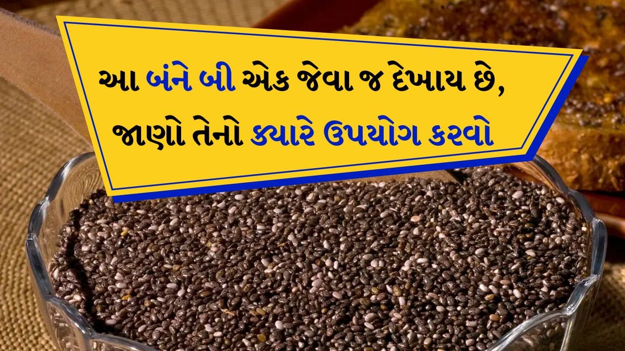 વજન ઘટાડવા માટે લોકો તેમના આહારમાં ચિયાના બીજનો સમાવેશ કરે છે. તેમાંથી સ્મૂધી સહિત ઘણાં વિવિધ પ્રકારના પીણાં બનાવવામાં આવે છે. જો કે મોટા ભાગના લોકો ચિયાના બીજ અને સબજાના બીજ વચ્ચેનો તફાવત પારખી શકતા નથી અને મૂંઝવણ અનુભવે છે અને સબજાને બદલે ચિયા અને ચિયાના બીજને બદલે સબજાનું સેવન કરવાનું ચાલુ રાખે છે. જો કે બંને બીજ ફાયદાકારક છે અને તેમાં સારી માત્રામાં પોષક તત્વો છે, પરંતુ શરીરને તેના ફાયદા અલગ અલગ રીતે મળે છે.
