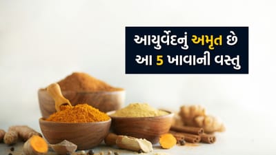 આયુર્વેદમાં હંમેશા દવાઓ પર નહીં પરંતુ સારી ખાનપાન અને જીવનશૈલી પર ભાર મૂકવામાં આવે છે. આયુર્વેદ મુજબ આપણો ખોરાક દવા જેવો હોવો જોઈએ જેથી આપણી આસપાસ કોઈ રોગ ન થાય. આયુર્વેદના ગ્રંથોમાં એવી ઘણી બધી ખાદ્યપદાર્થોનો ઉલ્લેખ છે જે નિયમિતપણે ખાવામાં આવે તો આપણું સ્વાસ્થ્ય સારું રહે છે અને લાંબુ આયુષ્ય પણ પ્રાપ્ત થાય છે. આમાંના કેટલાક વિશેષને 'અમૃત' પણ કહેવામાં આવે છે. 