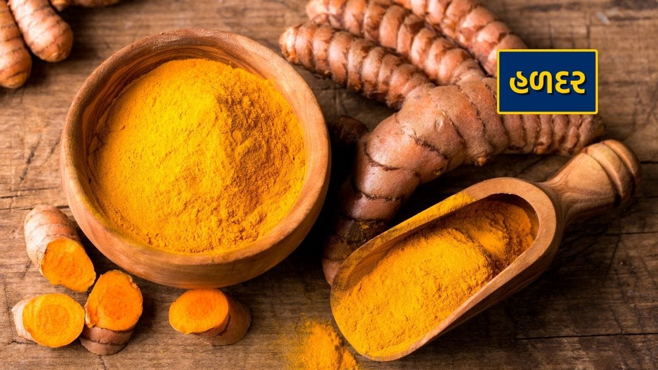હળદર, જે ભારતીય રસોડાનો ખૂબ જ મહત્વપૂર્ણ ભાગ છે, તેને આયુર્વેદમાં પણ અમૃતનો દરજ્જો આપવામાં આવ્યો છે. આયુર્વેદ અનુસાર, તે આપણા શરીરના ત્રણેય દોષોને સંતુલિત કરવાનું કામ કરે છે. ઉપરાંત, તેના બળતરા વિરોધી અને એન્ટીઑકિસડન્ટ ગુણધર્મોને કારણે, તે શરીરને સ્વસ્થ અને ફિટ રાખે છે. 