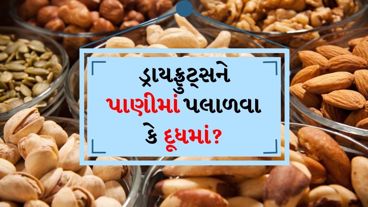 Soaked Dry Fruits : ડ્રાય ફ્રૂટ્સ આપણા સ્વાસ્થ્ય માટે ખૂબ જ ફાયદાકારક માનવામાં આવે છે. આને ઘણીવાર હેલ્ધી સ્નેક્સ તરીકે ખાવામાં આવે છે. કાજુ, પિસ્તા અને બદામ જેવા ડ્રાયફ્રૂટ્સ ઘણા પોષક તત્વોથી ભરપૂર હોય છે. આમાં કેલ્શિયમ, મેગ્નેશિયમ, પોટેશિયમ, ઝિંક, આયર્ન, વિટામીન E, B12, D અને ઓમેગા 3 ફેટી એસિડ જોવા મળે છે.
