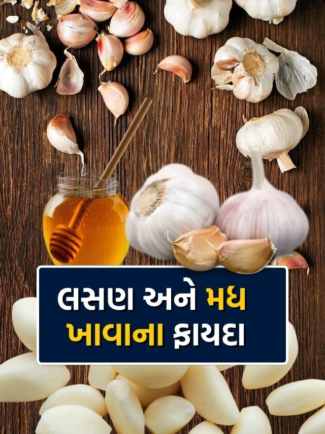 લસણ અને મધ એક સાથે ખાવાના ફાયદા જાણી ચોંકી જશો