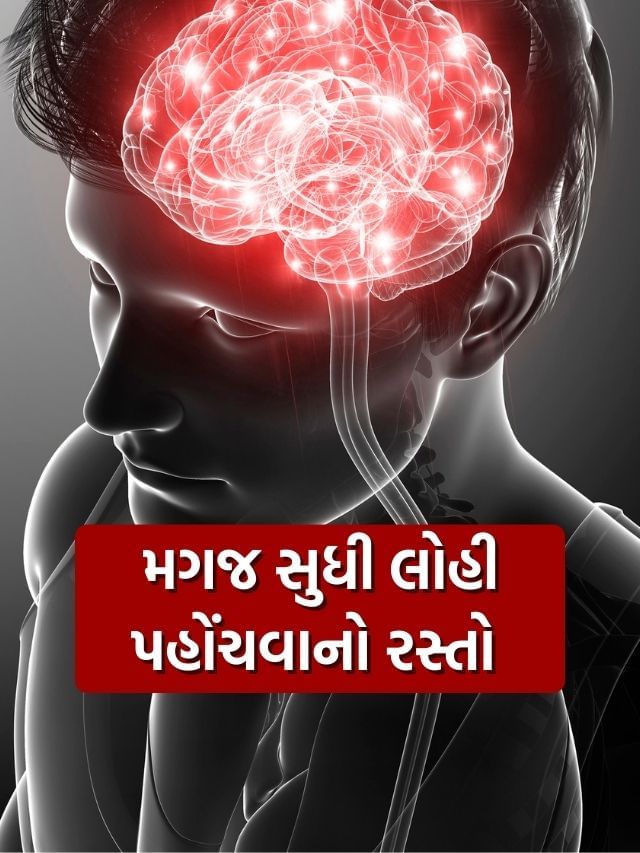 મગજમાં લોહી આખરે કઈ રીતે પહોંચે છે, જાણો ચોંકાવનારી વાત