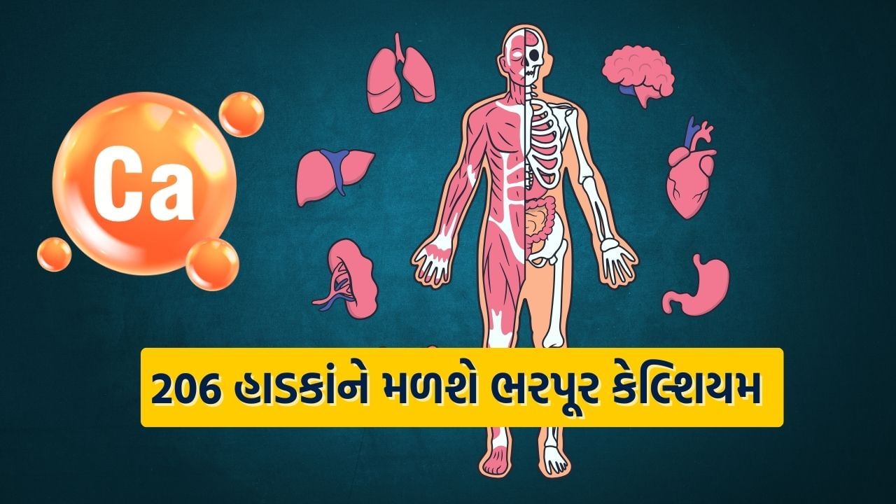 કેલ્શિયમ આપણા શરીર માટે ખાસ કરીને હાડકાં અને દાંત માટે ખૂબ જ મહત્વપૂર્ણ ખનિજ છે. પરંતુ માત્ર કેલ્શિયમયુક્ત ખોરાક ખાવો પૂરતો નથી, તે શરીરમાં યોગ્ય રીતે શોષાય તે પણ જરૂરી છે.