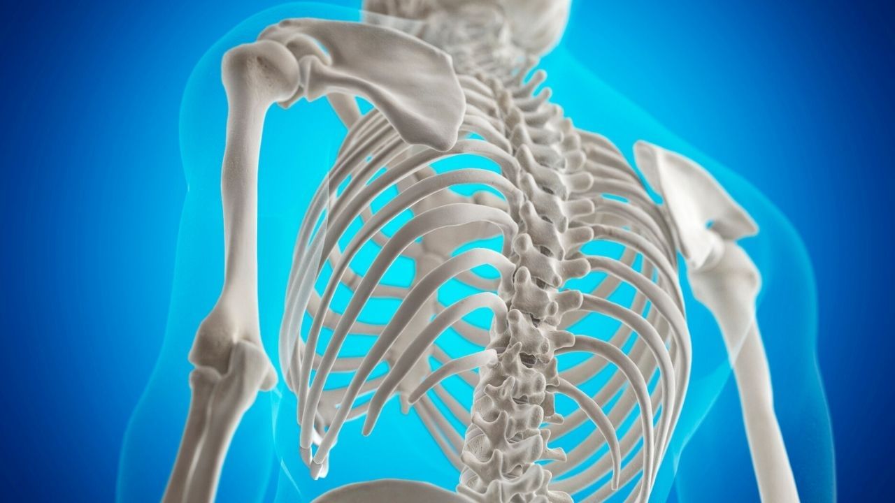 health tips daily diet increase calcium in bones (5)