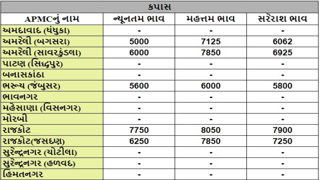 કપાસના તા.20-08-2024ના રોજ APMCના ભાવ રૂ.5000 થી 8050 રહ્યા.