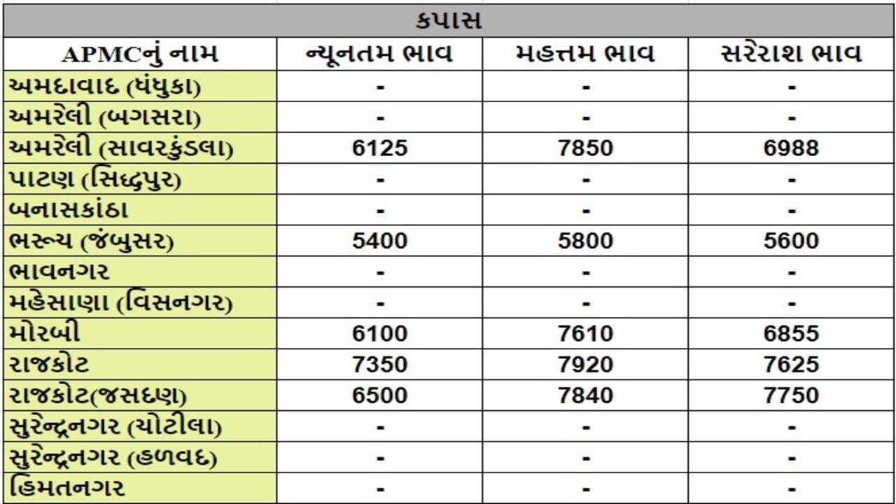 કપાસના તા.21-08-2024ના રોજ APMCના ભાવ રૂ.5400 થી 7850 રહ્યા.