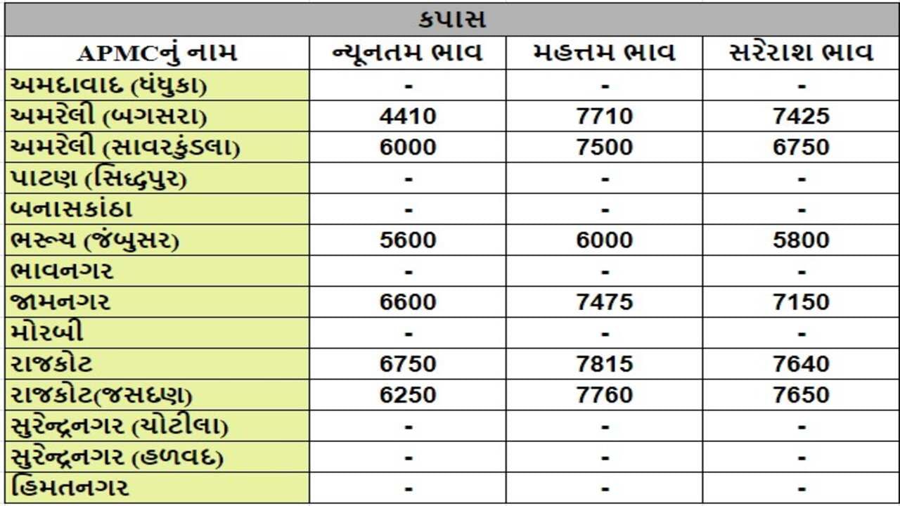 કપાસના તા.13-08-2024ના રોજ APMCના ભાવ રૂ.4410 થી 7815 રહ્યા.