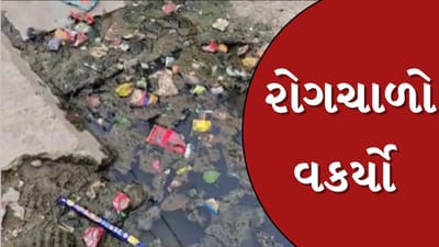 Kheda News : મહુધા નગરપાલિકા હદ વિસ્તારમાં પાણીજન્ય રોગચાળો વકર્યો, ચીફ ઓફિસરે બધુ સલામત હોવાના બણગા ફૂંક્યા, જુઓ Video