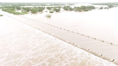 ભારતમાં નદીઓનું વિશેષ સ્થાન છે. દેશમાં લગભગ 200 મોટી નદીઓ છે, જે દેશના લોકોની પાણીની જરૂરિયાત પુરી કરે છે.