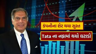 Tata ગ્રુપની કંપનીના નફામાં થયો ઘટાડો, શેર પણ થયા સુસ્ત, તમારી પાસે છે આ શેર ? જાણો કંપની વિશે