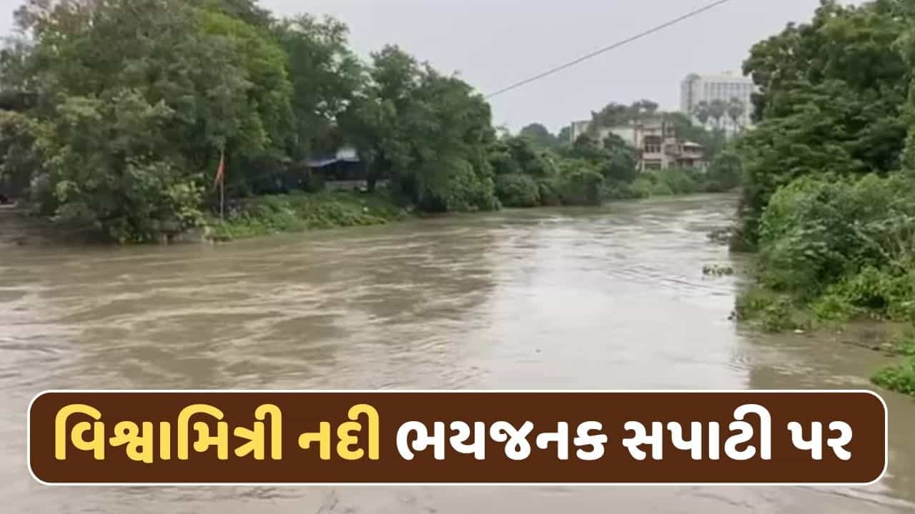 વડોદરામાં વિશ્વામિત્રી નદીમાં આવ્યું પૂર ! ભયજનક સપાટી પર પહોંચી નદી, અનેક વિસ્તારો પાણીમાં ગરકાવ-Video