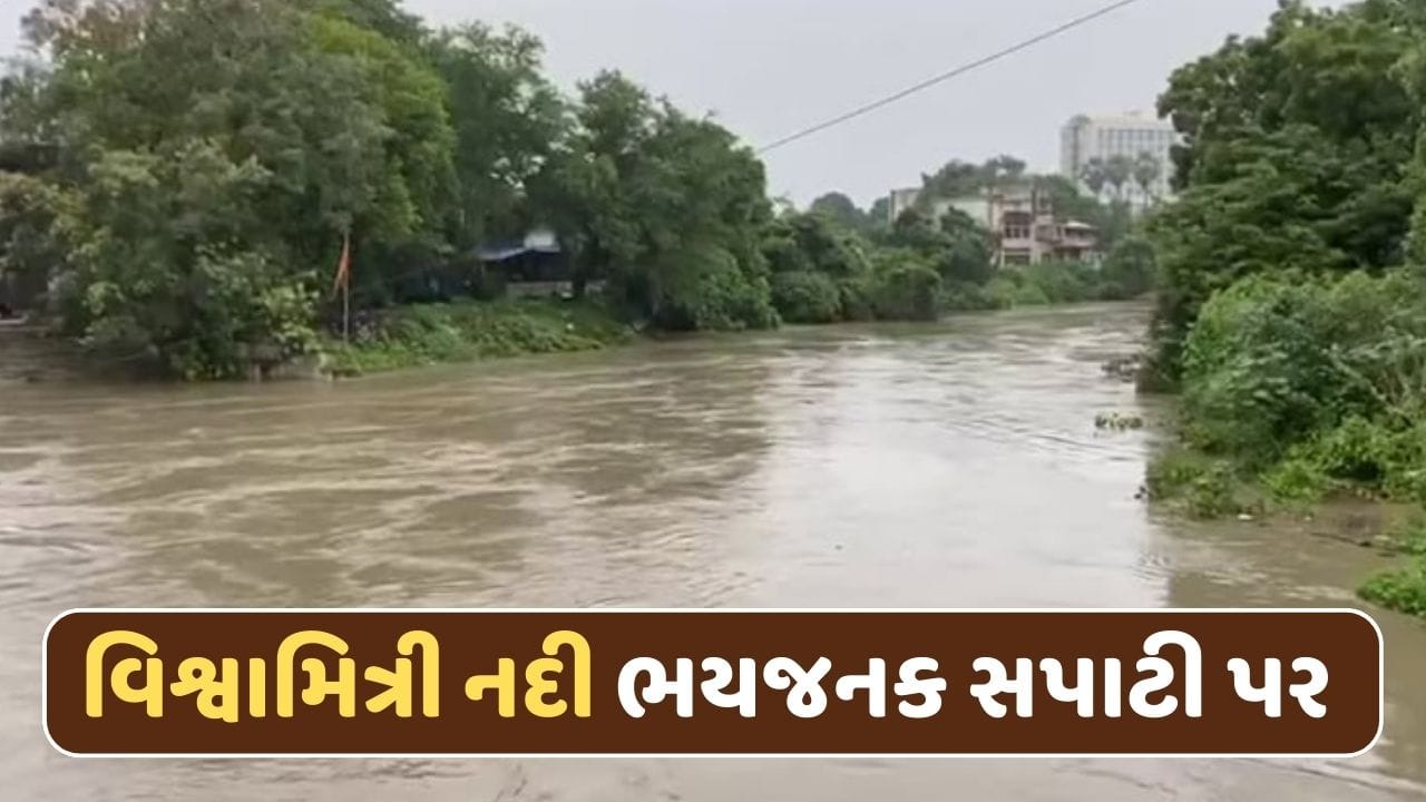 વડોદરામાં વિશ્વામિત્રી નદીમાં આવ્યું પૂર ! ભયજનક સપાટી પર પહોંચી નદી, અનેક વિસ્તારો પાણીમાં ગરકાવ-Video વડોદરામાં વિશ્વામિત્રી નદીમાં આવ્યું પૂર ! ભયજનક સપાટી પર પહોંચી નદી, અનેક વિસ્તારો પાણીમાં ગરકાવ-Video