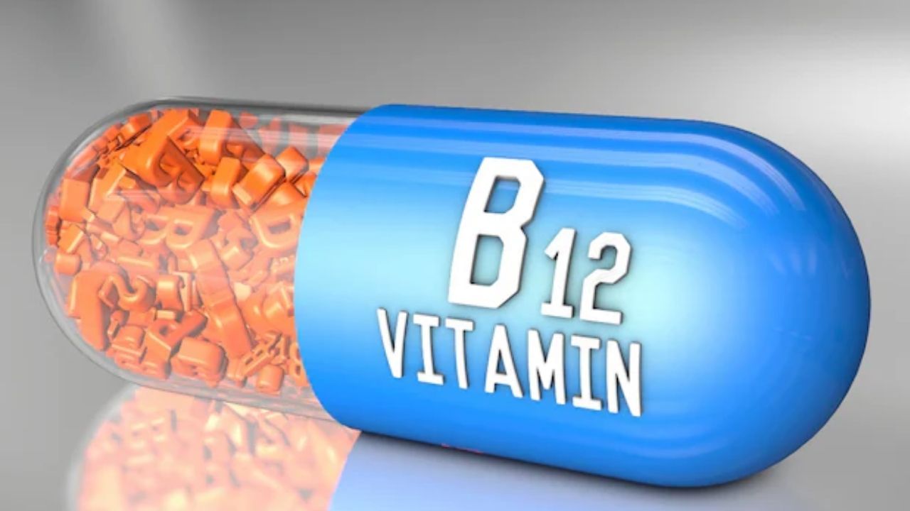 Vitamin B 12 : B12 એ શરીર માટે સૌથી મહત્વપૂર્ણ વિટામિન્સમાંનું એક છે. શરીરમાં તેની ઉણપથી વાળ ખરવા અને ત્વચા સંબંધિત સમસ્યાઓ થઈ શકે છે. આ સિવાય આપણી નર્વસ સિસ્ટમ પણ પ્રભાવિત થાય છે. નિષ્ણાતો કહે છે કે શરીરમાં વિટામિન B12 ની ઉણપને કારણે દર્દીઓ ખૂબ થાક અનુભવે છે. આ કારણે વ્યક્તિને વધુ ઊંઘ આવે છે. તમારા આહારમાં દૂધ, દહીં, ચીઝ, ઈંડા, ચિકનનો સમાવેશ કરો.
