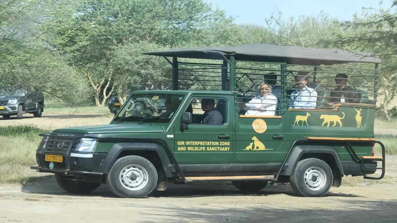 AMBARDI SAFARI PARK 4