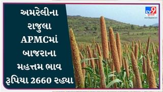 અમરેલીના રાજુલા APMCમાં બાજરાના મહત્તમ ભાવ રૂપિયા 2660 રહ્યા, જાણો જુદા-જુદા પાકના ભાવ