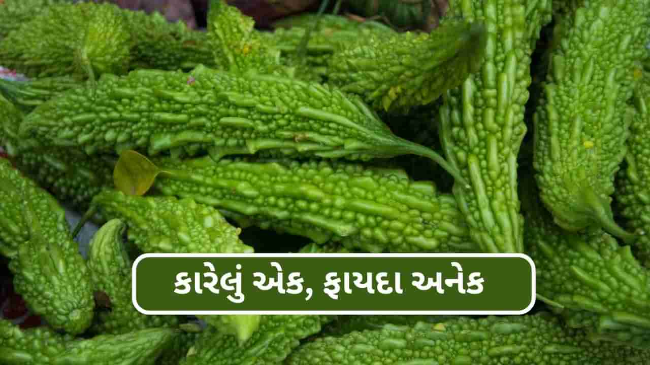 સ્વભાવે કડવું કારેલું અનેક બીમારીઓનો કરે છે મૂળથી નાશ, જાણો કેવી રીતે કરવો ઉપયોગ