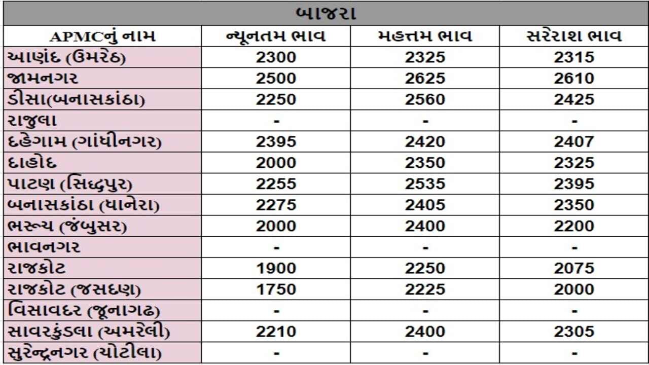 બાજરાના તા.25-09-2024ના રોજ APMCના ભાવ રૂ.1750 થી 2625 રહ્યા.