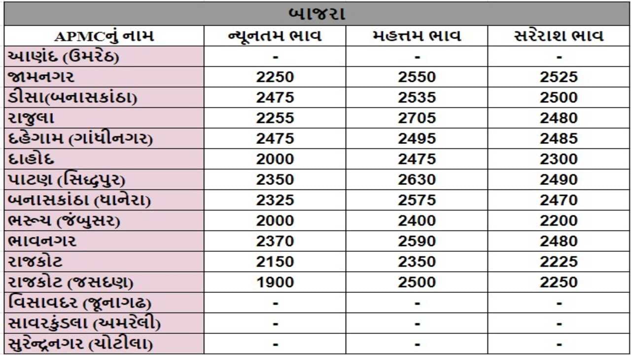 બાજરાના તા.17-09-2024ના રોજ APMCના ભાવ રૂ.1900 થી 2705 રહ્યા.