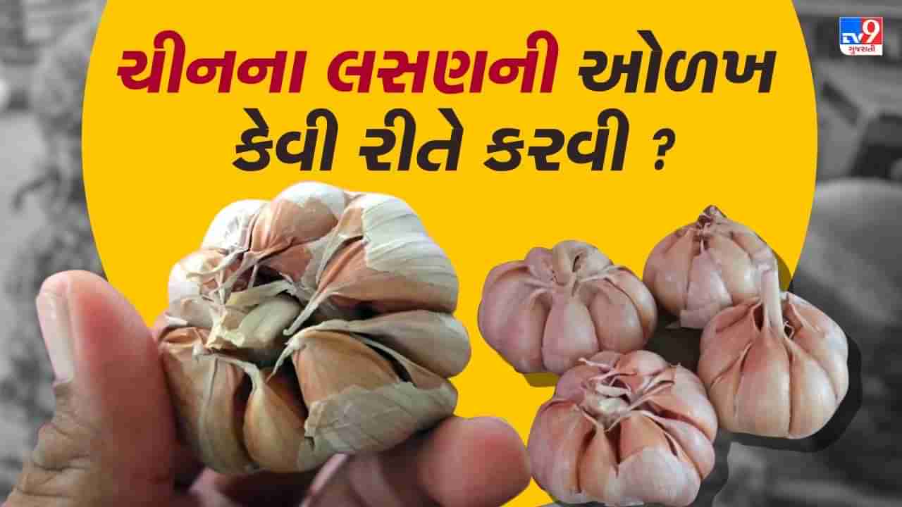 ચાઈનીઝ લસણ અને દેસી લસણમાં શું ફરક છે ? જાણો કેવી રીતે ઓળખવું આ નકલી લસણ