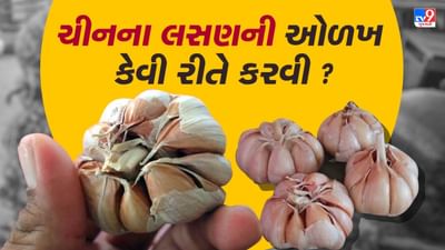 ચાઈનીઝ લસણ અને દેસી લસણમાં શું ફરક છે ? જાણો કેવી રીતે ઓળખવું આ નકલી લસણ
