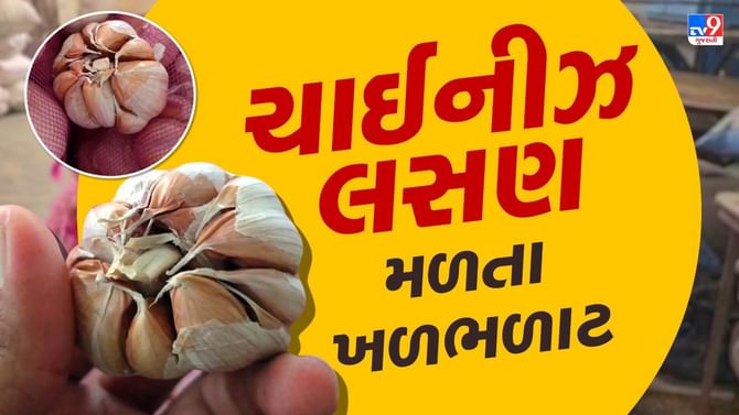 ગોંડલ માર્કેટ યાર્ડમાંથી મળ્યું 600 કિલો ચાઈનીઝ લસણ